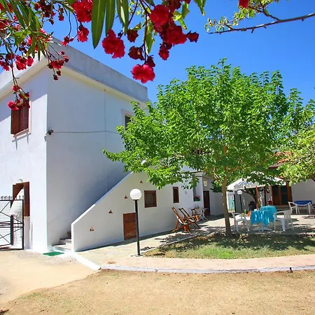 Korali Stafilos * Stafylos